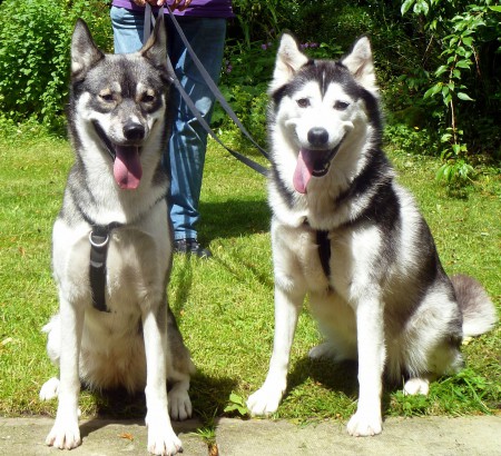 Sacha and Suki - Mush!!