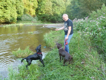 Real water dogs!