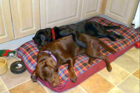 Don't worry - I'm here