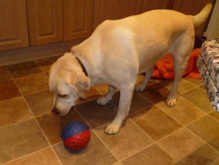 He's brilliant with the foodball.
