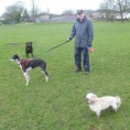 /album/a-walk-with-lara-boarded-lacy-daycare-and-flora-walked-/p1070537a-jpg/